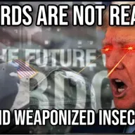 Birds Are Not Real and Weaponized Insects