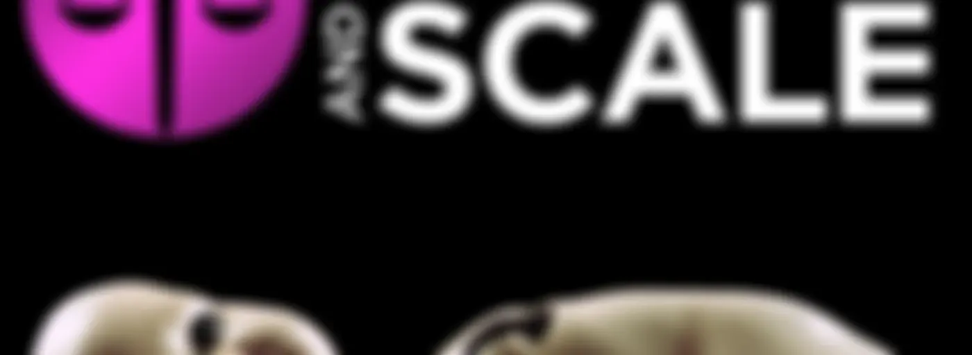 Sword and Scale