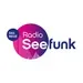 Radio Seefunk - 70er pur