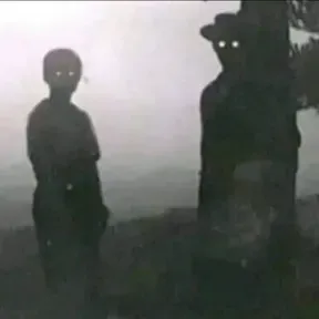 Daani39