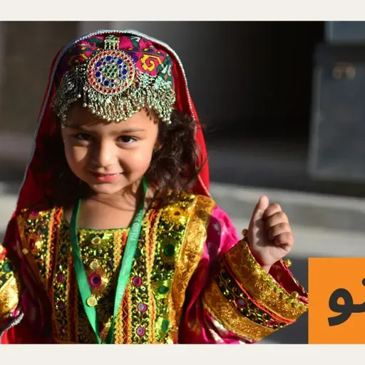 افغانستان: پخواني ولسمشر محمد اشرف غني د هېواد په راتلونکي برخلیک کې د بهرنیانو رول او لاسوهنه ناروا بللې ده