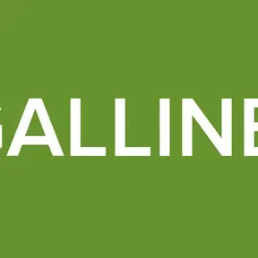 ELGALLINERO