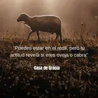 ¿Ovejas o Cabras?
