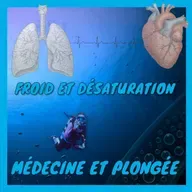 [Médecine et plongée] Froid et désaturation : comprendre la mécanique de l'accident