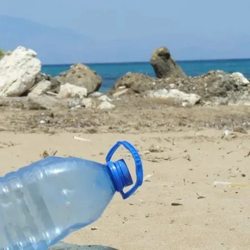 Vidro ou plástico? Qual o melhor tipo de embalagem para o meio ambiente?