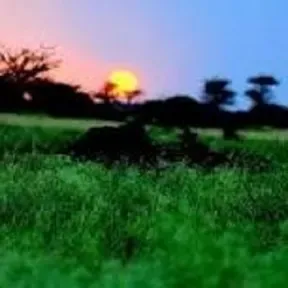 Radio Xogmaal - Kismaayo
