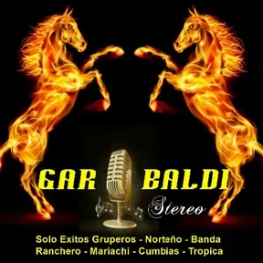 Garibaldi Stereo