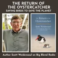 Author Scott Weidensaul: The Return of the Oystercatcher - Saving Birds to Save The Planet