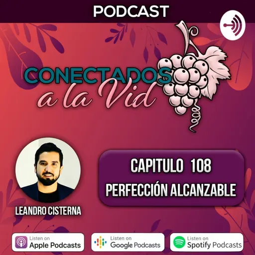 108 - Perfección alcanzable