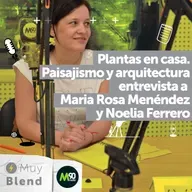 Todo lo que tenés que saber de plantas para tu casa