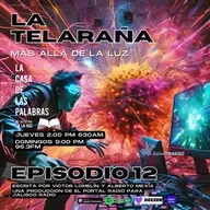 La Telaraña más allá de la luz EP12 Final