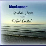 The Virtue of Meekness