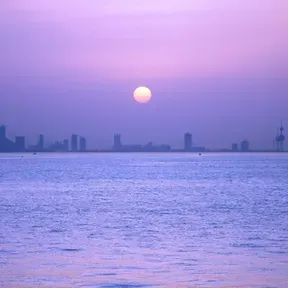 "كلمات الحياة" ، "الأخبار السارة" ، "الأغاني الإنجيلية" - اللغات الرئيسية المستخدمة في الكويت / "Words of Life", "Good News", "Gospel Songs" - Major Languages Spoken in Kuwait