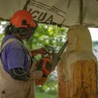 State Democratic Convention, Social Security shortfall, Wood sculpture festival