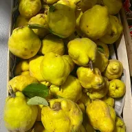 Llegó el otoño, y los membrillos