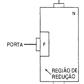 MORENICE GOMES