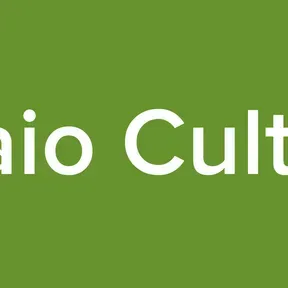 Balaio Cultural
