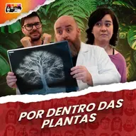 Por que as plantas são assim?