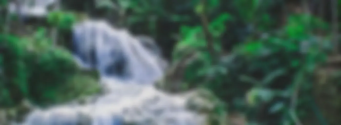 Sonidos de la Naturaleza