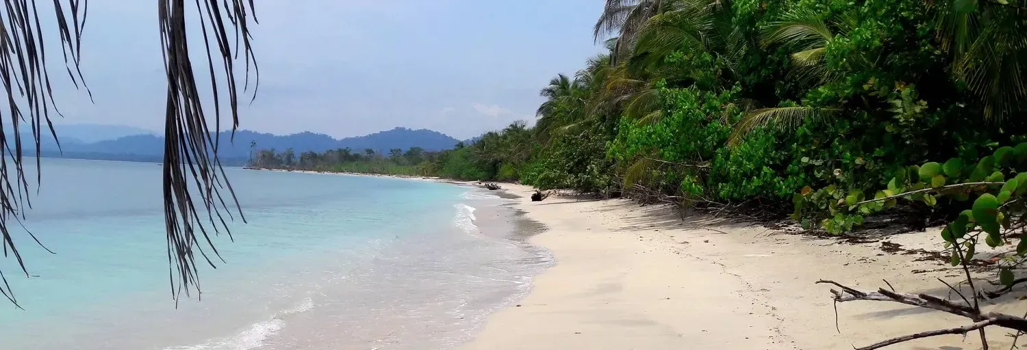 EDEN TV