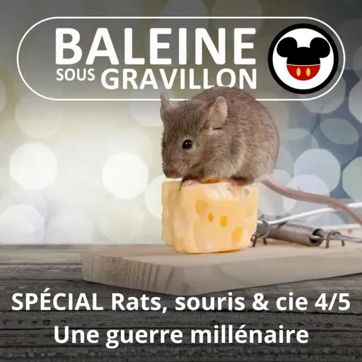 SPÉCIAL Rats, souris & cie 4/5 : L'extension du domaine de la lutte