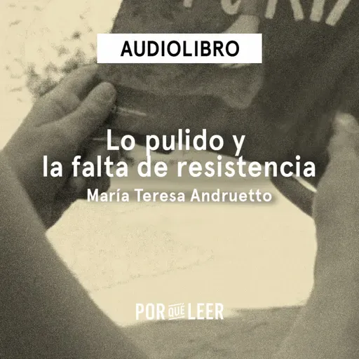 Lo pulido y la falta de resistencia - María Teresa Andruetto