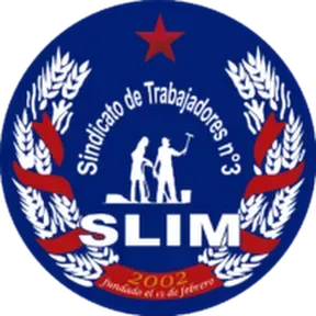 Sindicato Slim 3
