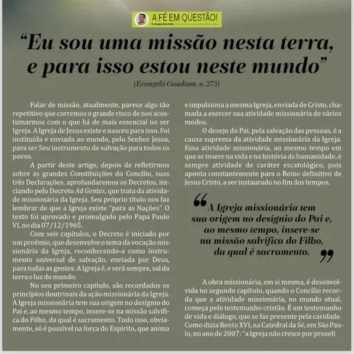 “Eu sou uma missão nesta terra, é para isso estou neste mundo.” (Evangelii Gaudium, n. 273)