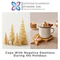 Cope with Negative Emotions During the Holidays