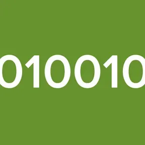 010010