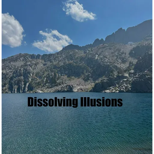 Dissolving Illusions