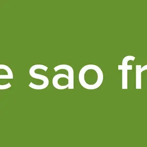 a voz de sao francisco