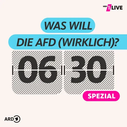 0630 Spezial: Die AfD - Was sie will, wie sie arbeitet und wer sie wählt