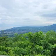 «Чай наш грузинский»