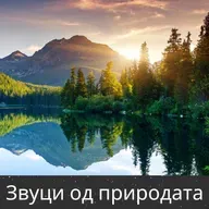 Тивко шушкање од подрумска печка - 10 Часа за Сон, Медитација и Опуштање