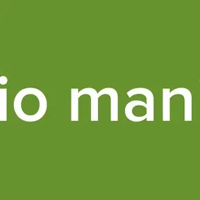 Radio manija 2