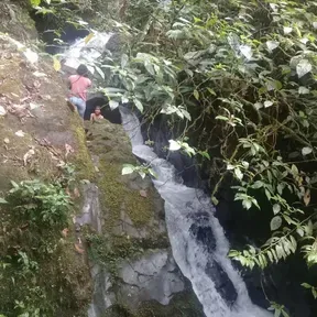 RADIO AMAZONIA