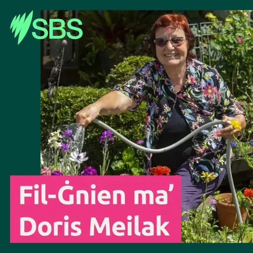 Il-ħarifa fil-ġnien u pariri għal xi rigal sabiħ għal Jum l-Omm b’rabta mal-ġnien | Doris Meilak