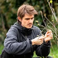 Eat More Trees with Louis De Jaeger