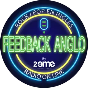 FEEDBACK ANGLO