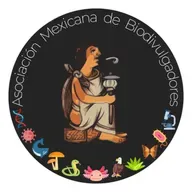 Helechos, los fósiles vivientes 