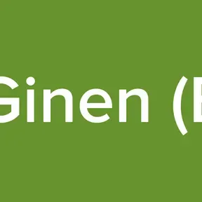 Radio Tele Ginen (EX YU relay)