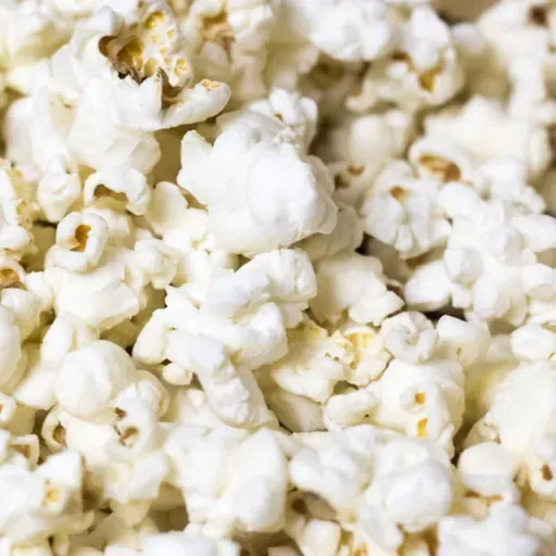 Nuestras películas favoritas del 2025