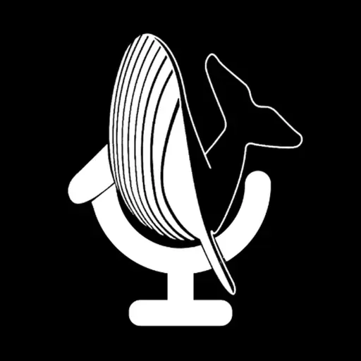 一週鯨選 EP113 | 台灣場終於公佈了，今年準備前往高雄！快速了解NMIXX的前世今生？