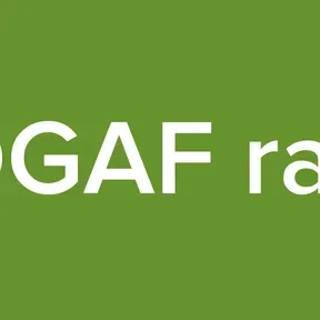 WDGAF radio