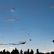 Wake boat lawsuits, Inside Wisconsin Politics, Kite-flying club