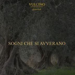 Vulcino Music