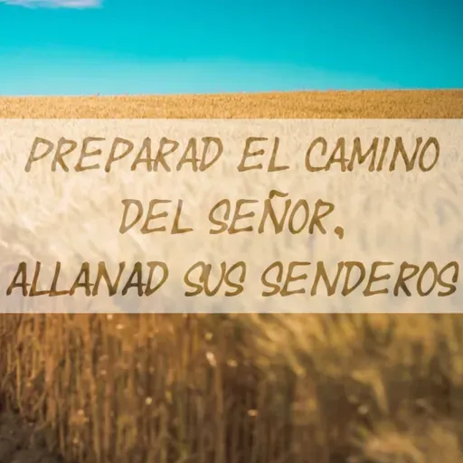 II Domingo Adviento: Preparad el Camino al Señor