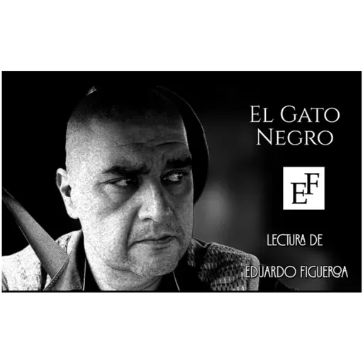 El Gato Negro, Audiolíbro.
