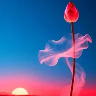 严歌苓：性化学杂想